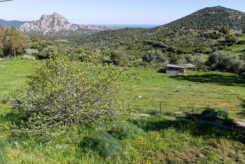 Relais De Saleccia Hotel Casta Bagian luar foto